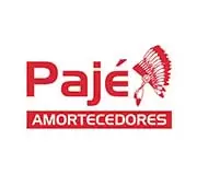 Pajé Amortecedores e Pneus - Desenvolvimento de Site, Blog, Catálogo de Produtos, Google ADS, Rede Sociais, Conteúdo para Blog, SEO On Page, Hospedagem e Manutenção.